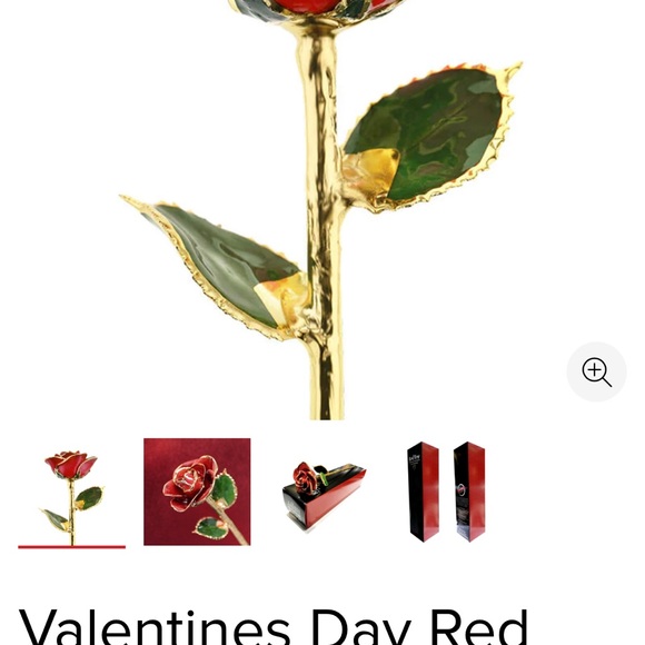 Roses🌹🥀💐 - Picture 11 of 11